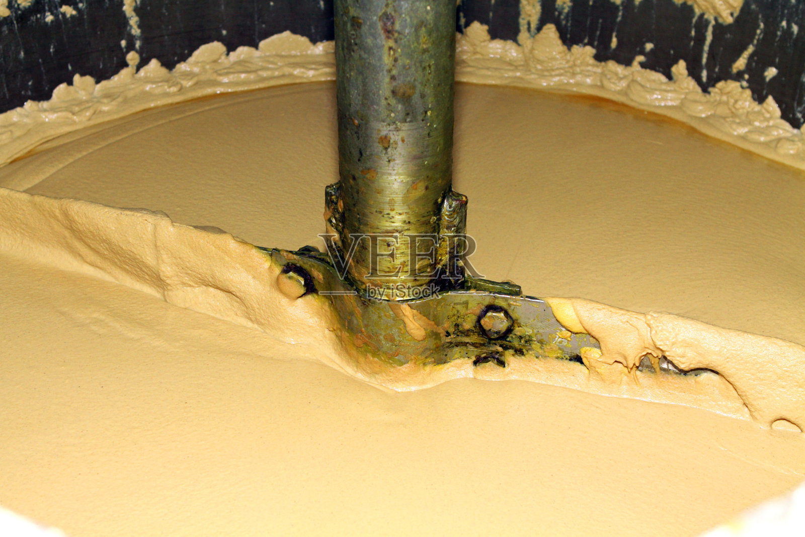 芥菜粉厂用芥菜籽生产芥菜。用于榨菜工业生产的创新设备照片摄影图片