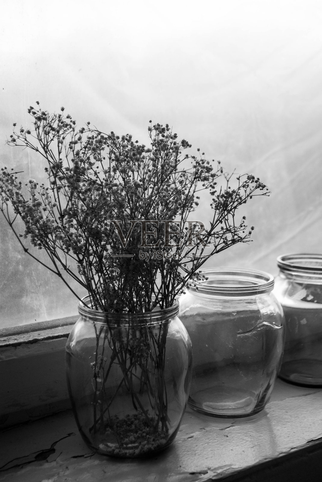 小白花在玻璃罐中。黑色和白色。三个空玻璃罐。满天星香。婴儿的呼吸花照片摄影图片