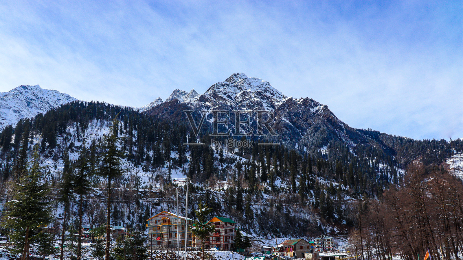 背景是白雪覆盖的山，前面是松树覆盖的山。照片摄影图片