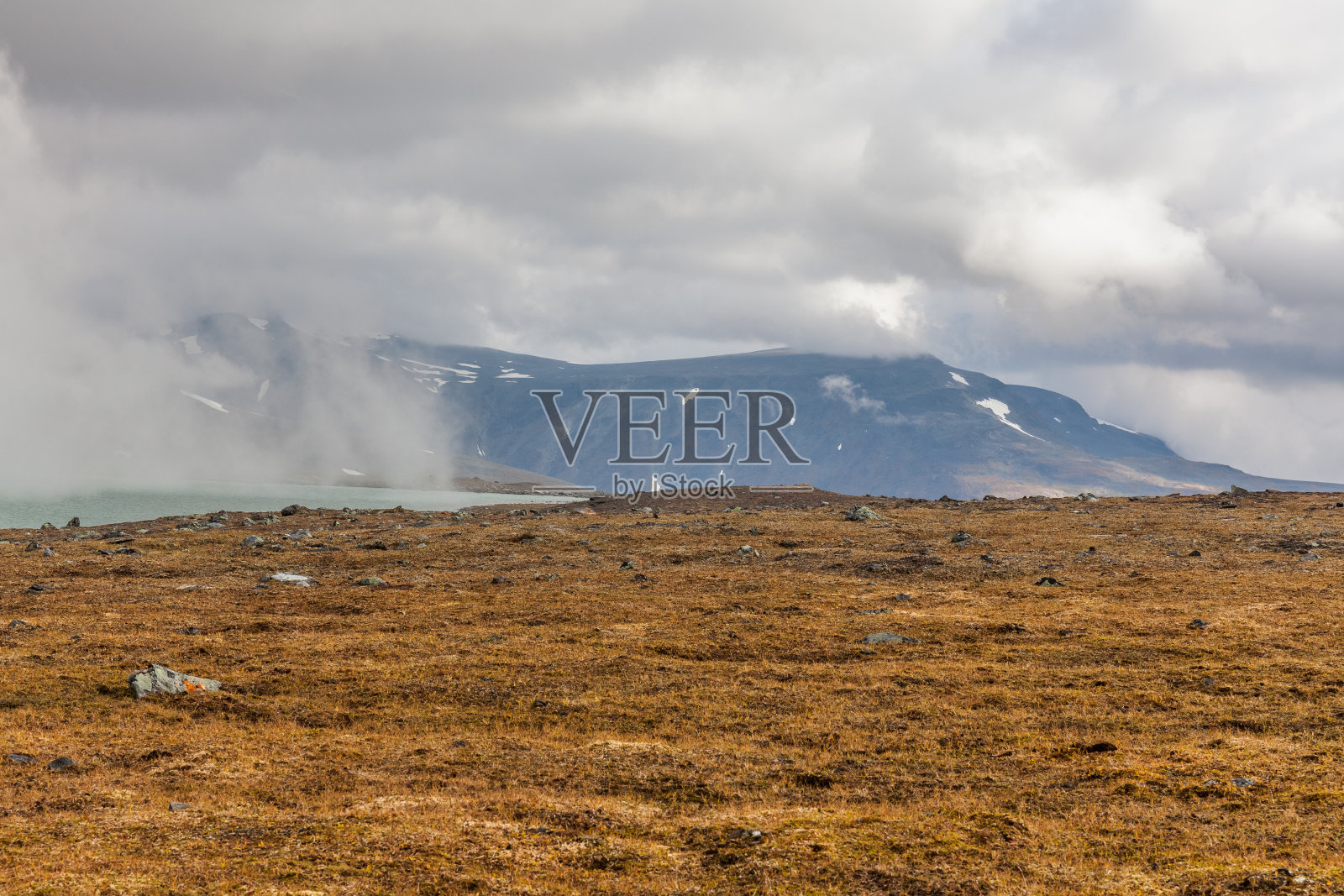 秋天的沙瑞克国家公园，拉普兰，Norrbotten县，瑞典，靠近芬兰，瑞典和挪威的边界。有选择性的重点照片摄影图片