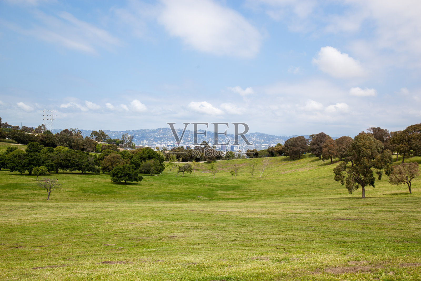 有树的开阔草地照片摄影图片