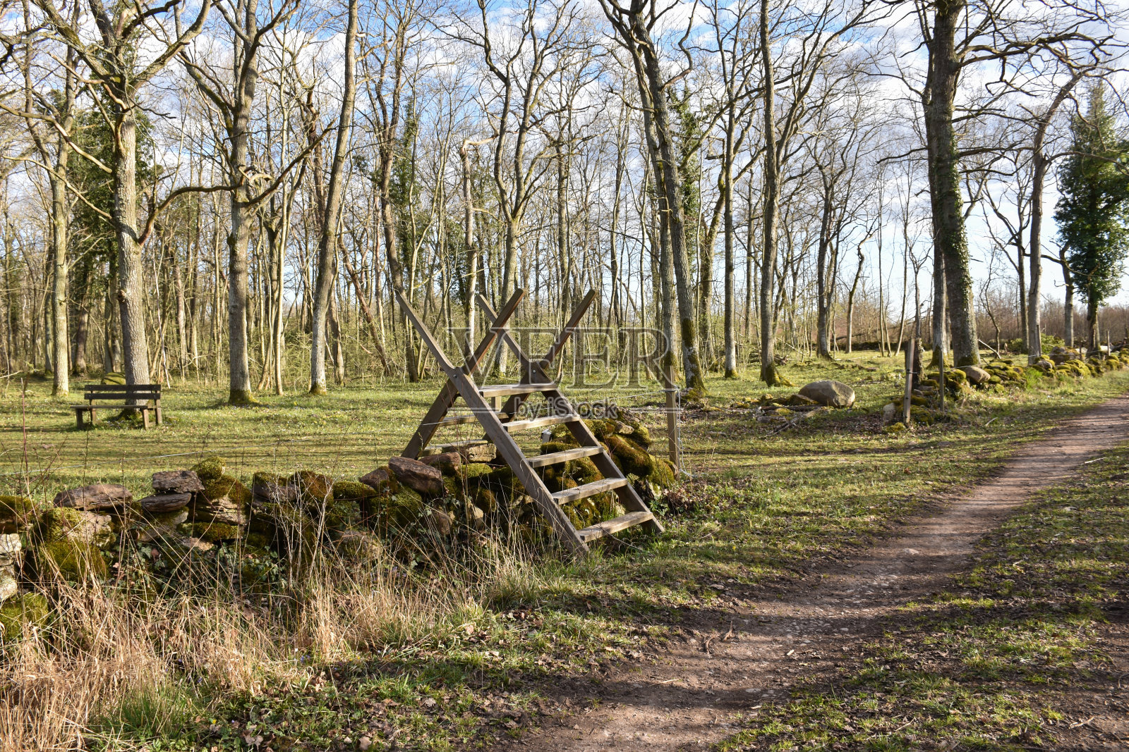 乡间小路旁的木栅栏照片摄影图片