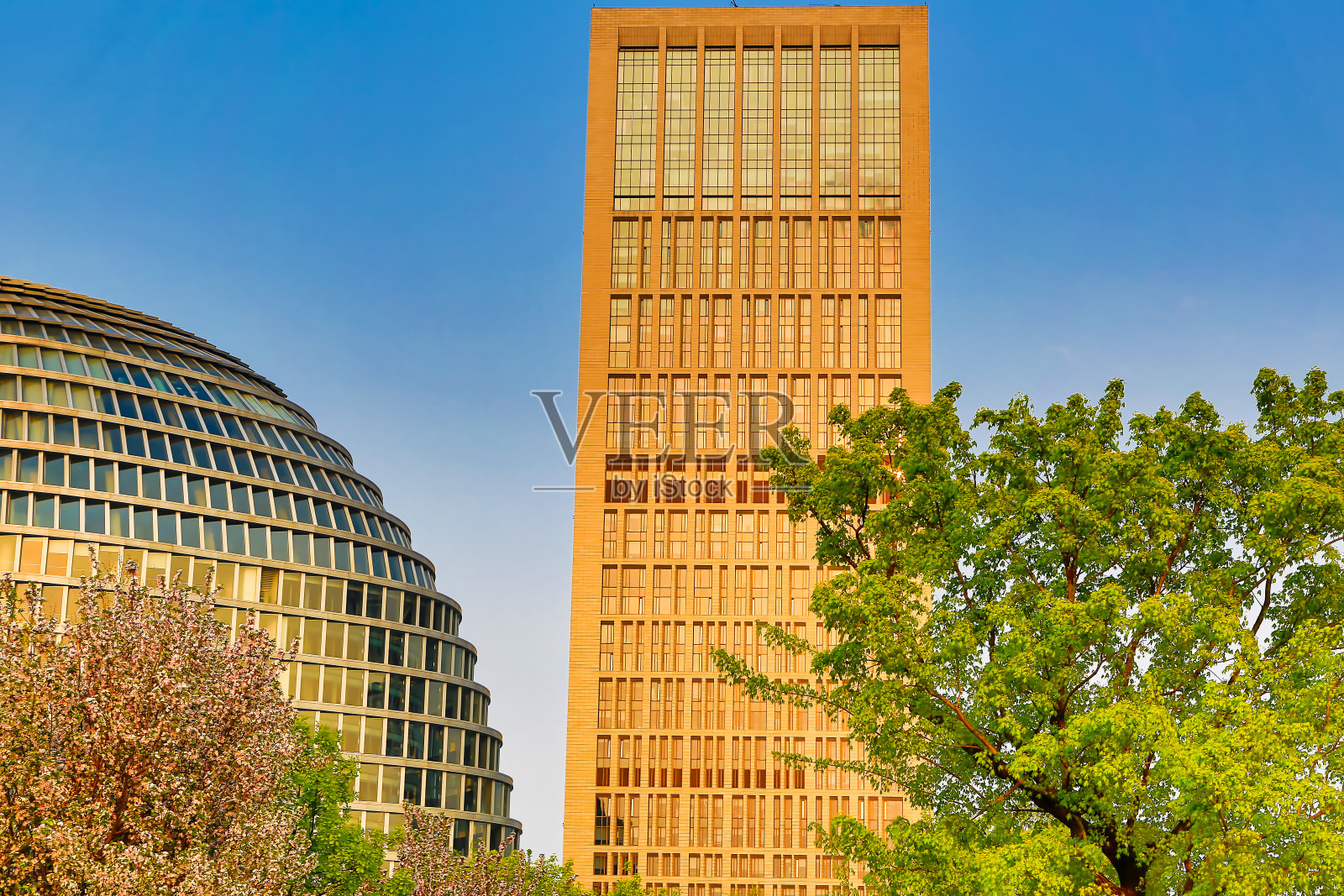 城市的春天照片摄影图片