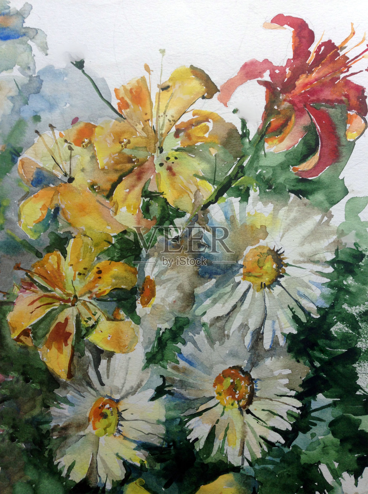 手工花卉图案。美丽温柔浪漫的草地，有洋甘菊和百合插画图片素材