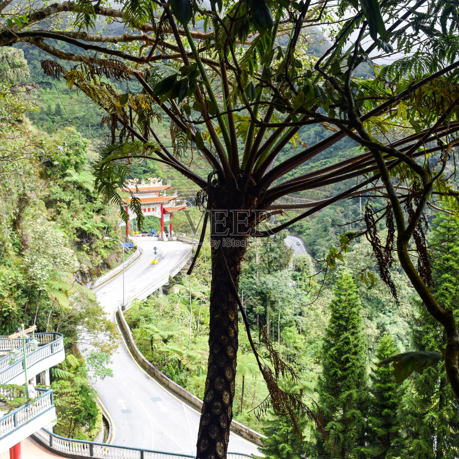 从云顶高原到吉隆坡的索道缆车，空中缆车照片摄影图片