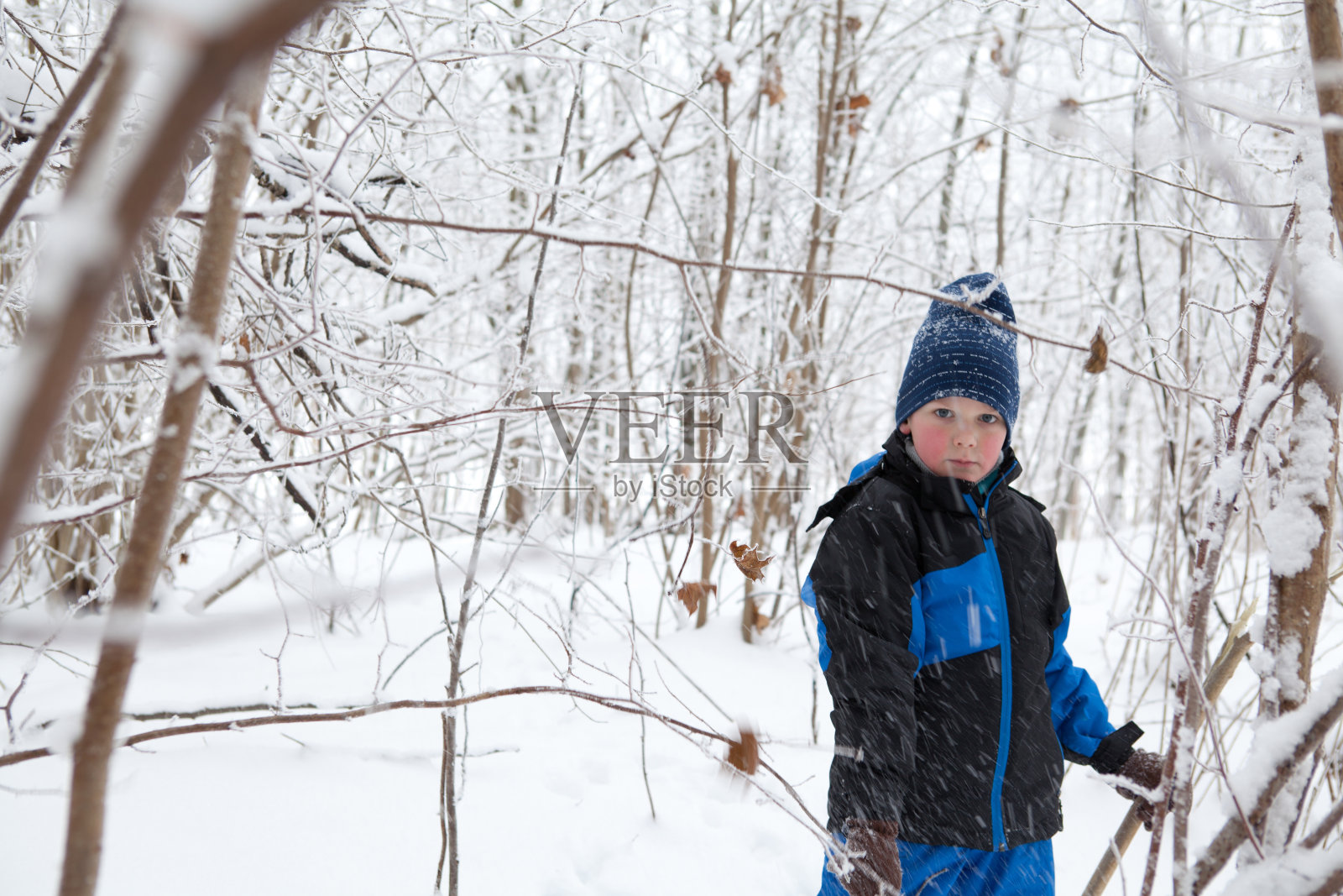 严肃的男孩穿着暖和的衣服站在深雪中赤裸的树枝丛中——红扑扑的脸颊，聚精会神地拿着一根棍子，玩着照片摄影图片