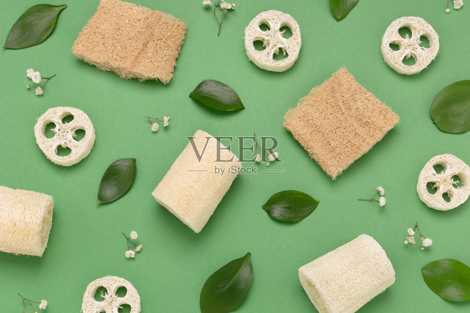 丝瓜海绵和植物叶子在绿色的背景上。照片摄影图片