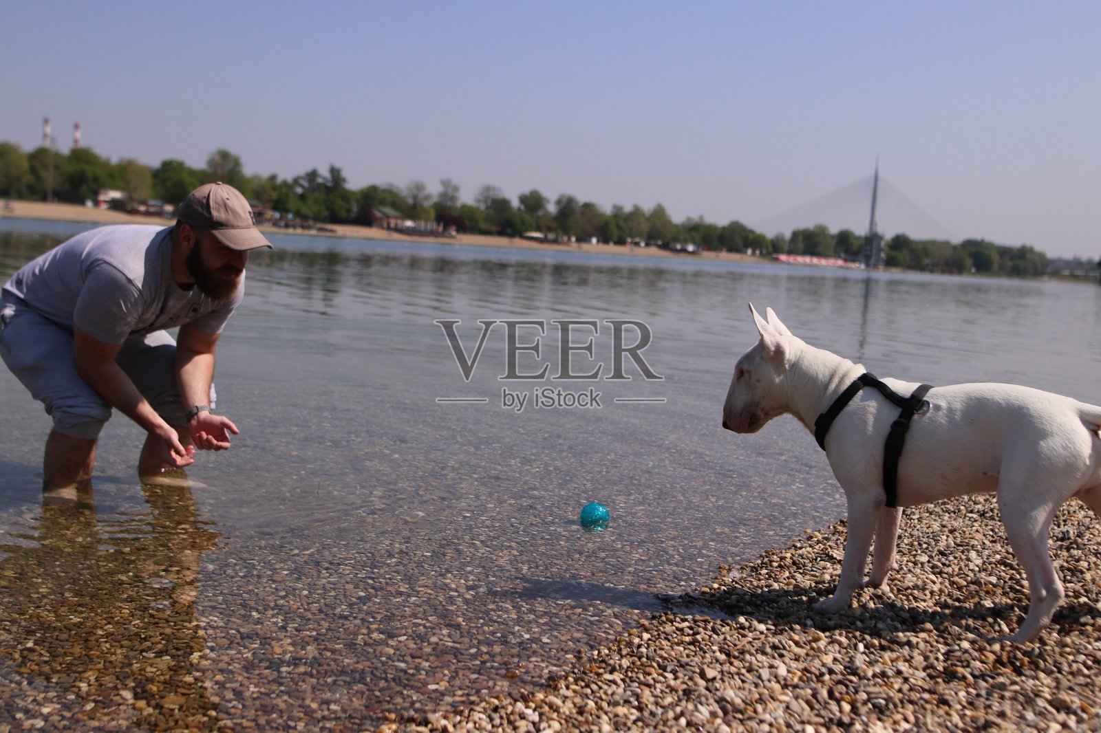 一个人带着狗在河边散步照片摄影图片