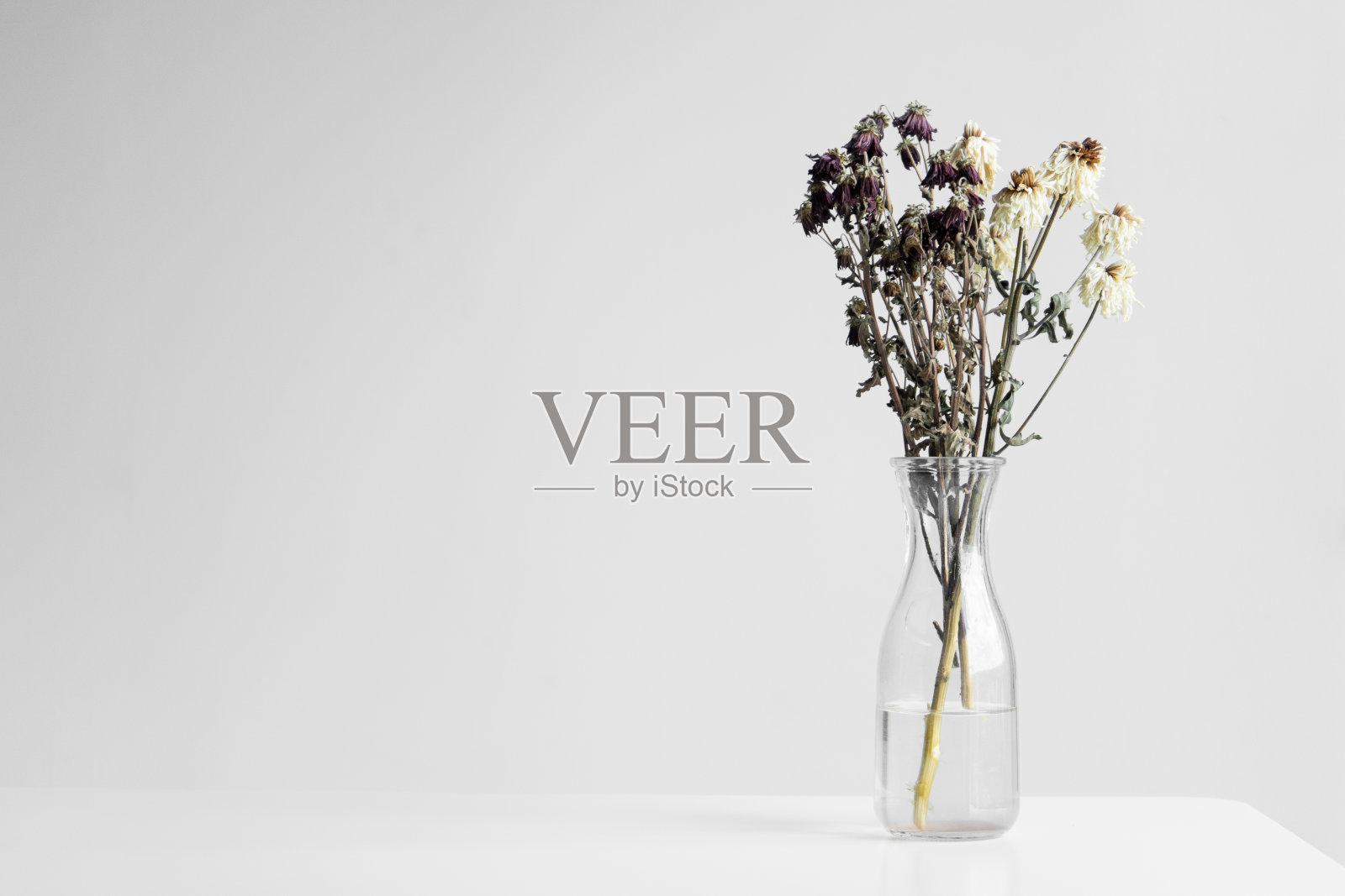 白色背景上的一束枯萎的花照片摄影图片