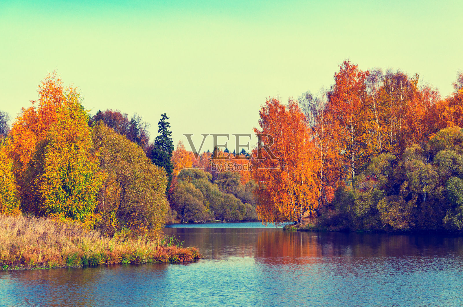 美丽的秋景与桦树反射水面照片摄影图片