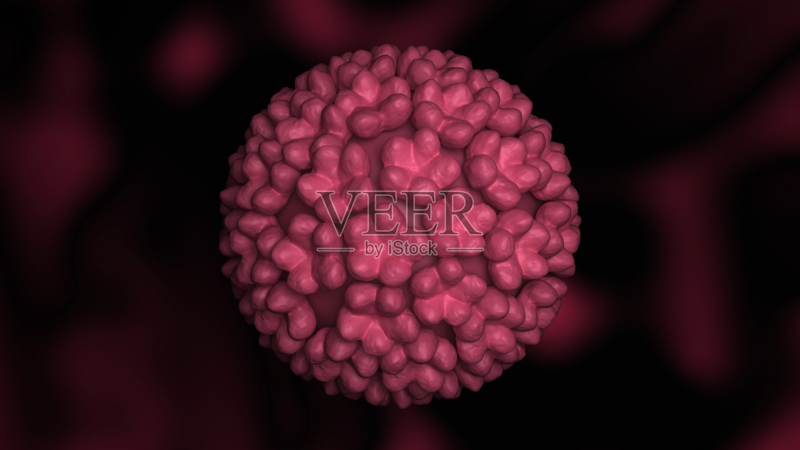 人类乳头状瘤病毒细胞。人乳头状瘤病毒。概念说明。3 d渲染。照片摄影图片