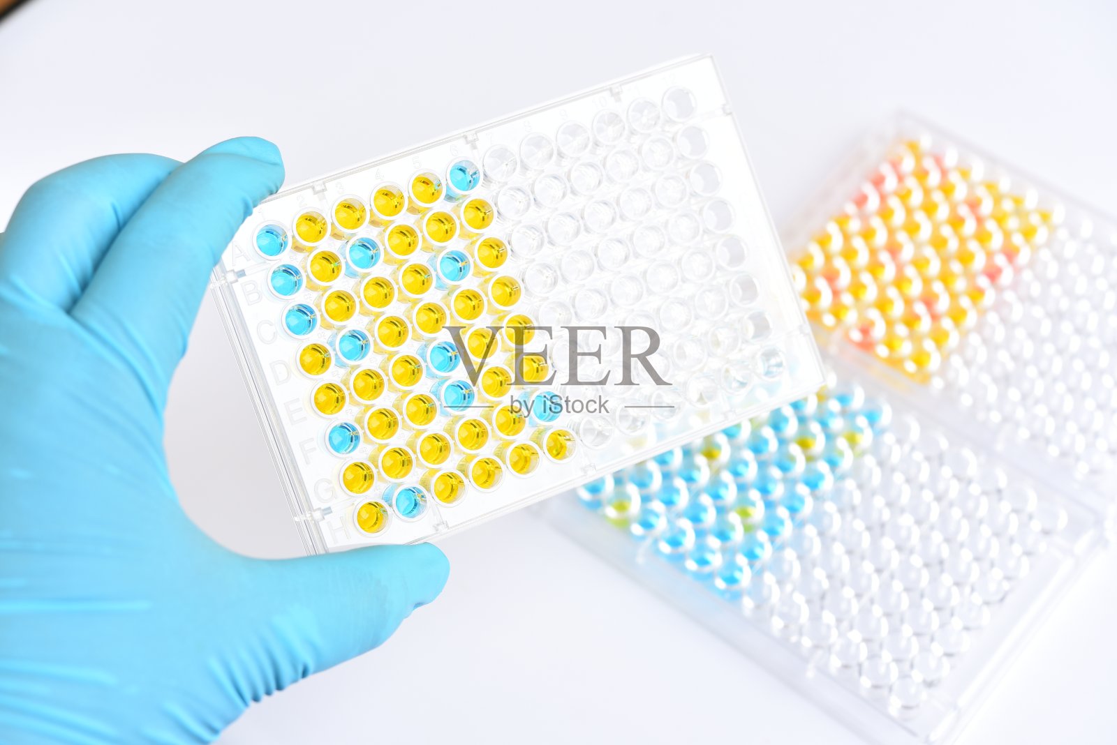 酶联免疫吸附试验或ELISA平板照片摄影图片