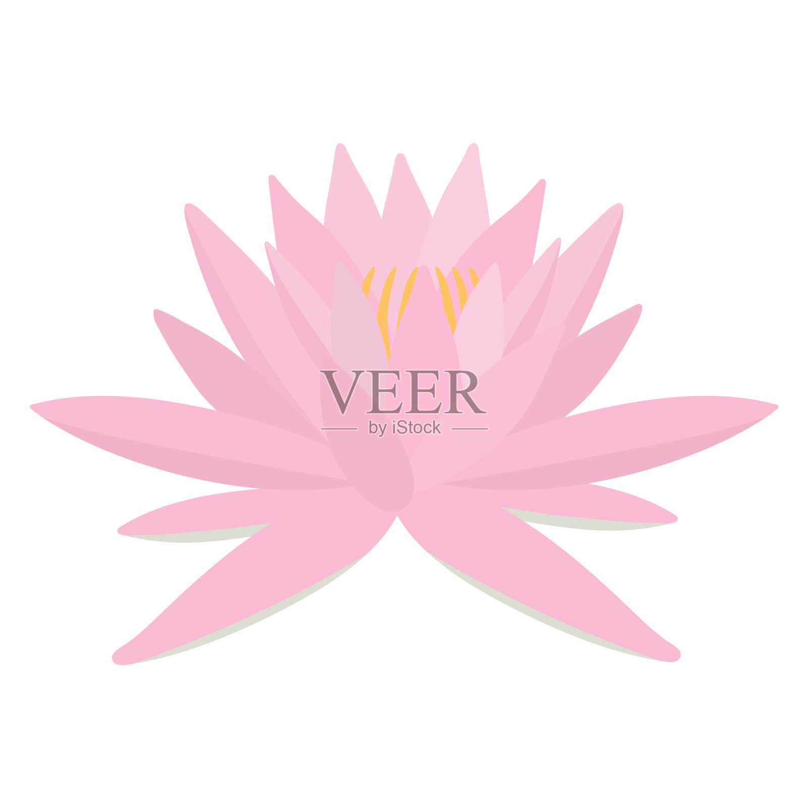 粉红色的荷花孤立在白色上设计元素图片