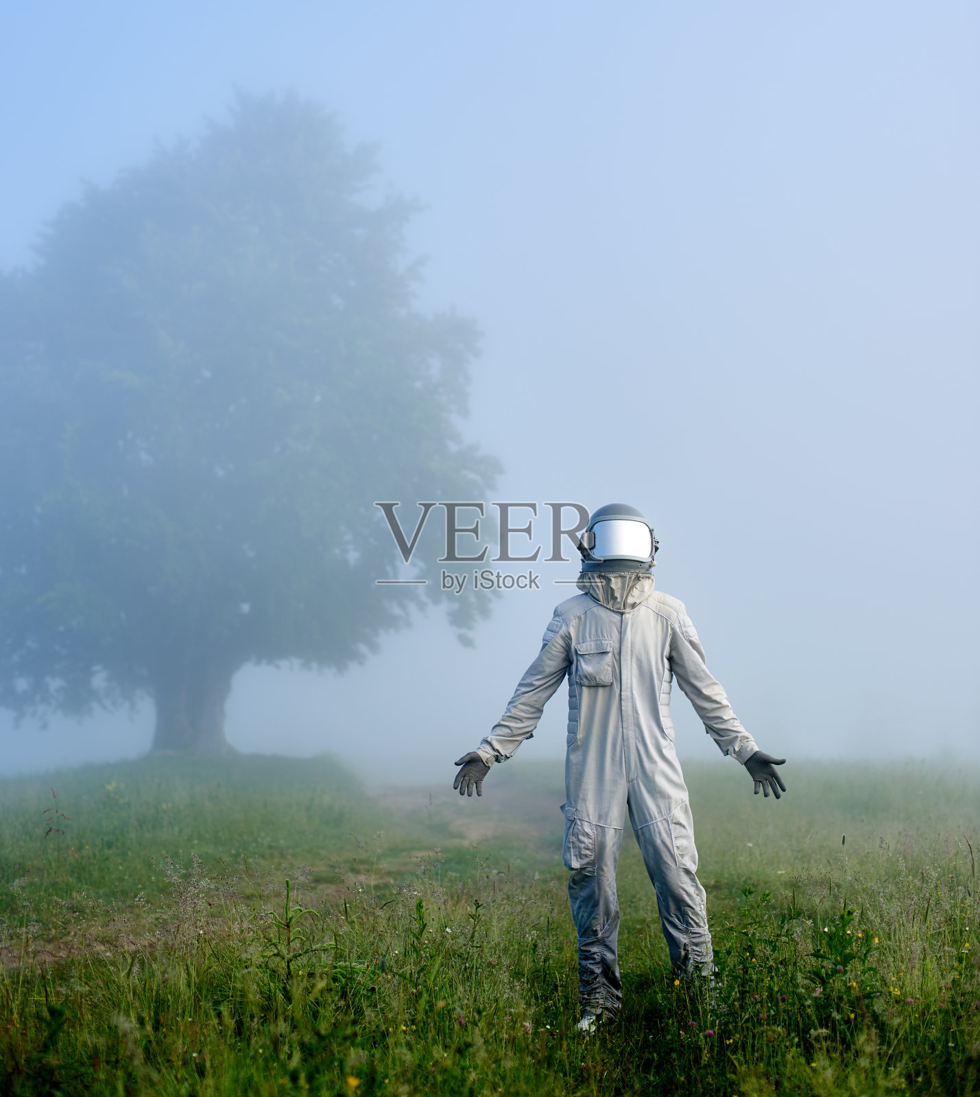 宇航员和一棵老大树在绿色的雾蒙蒙的草地上照片摄影图片