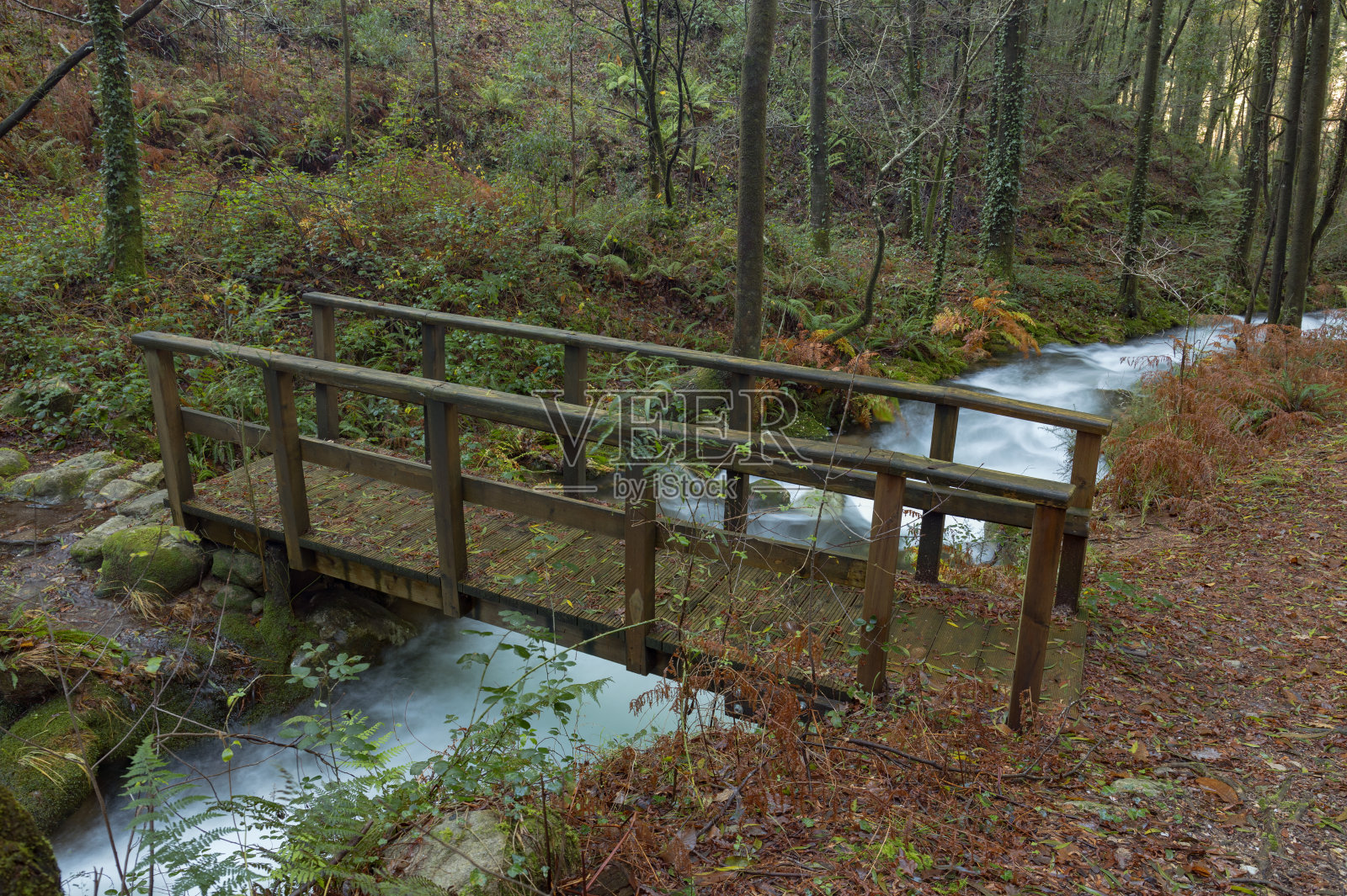 西班牙加利西亚Moaña镇与达弗拉加河平行的森林小路。照片摄影图片