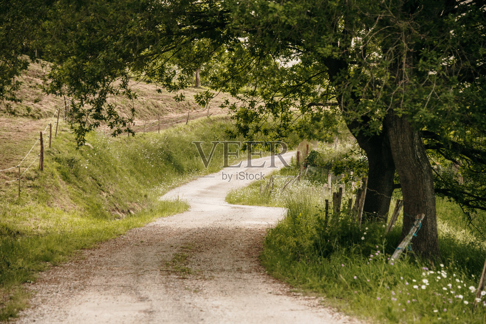 自然区域中的道路照片摄影图片