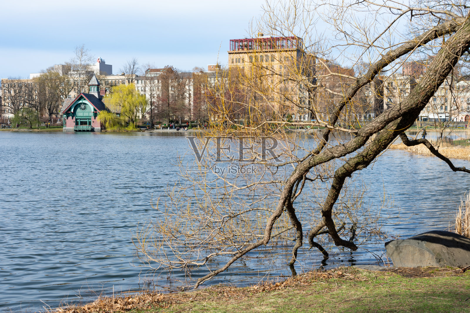 春天，纽约中央公园哈莱姆米尔公园的树枝，可以看到城市的天际线照片摄影图片