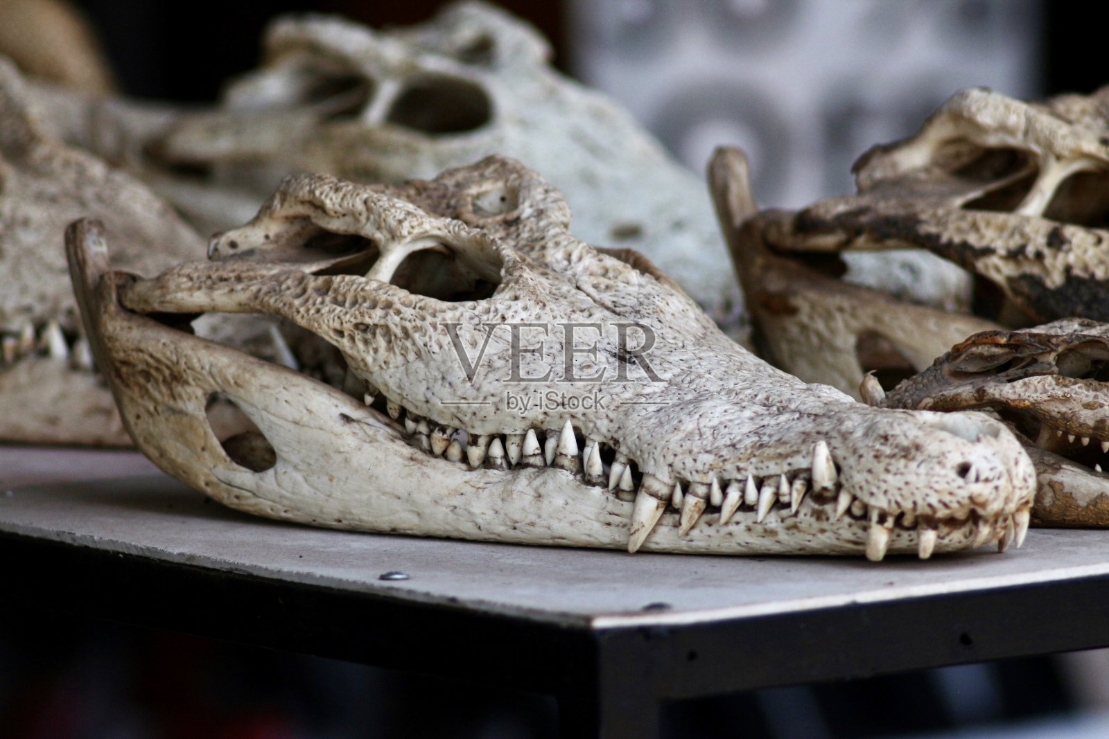 柬埔寨市场照片摄影图片