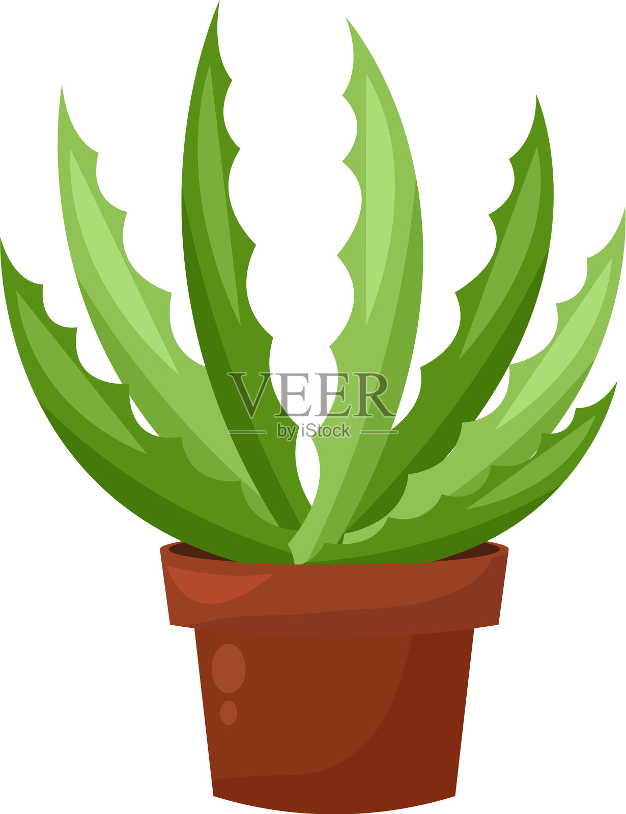 绿色仙人掌盆景家花园植物室内植物设计元素图片