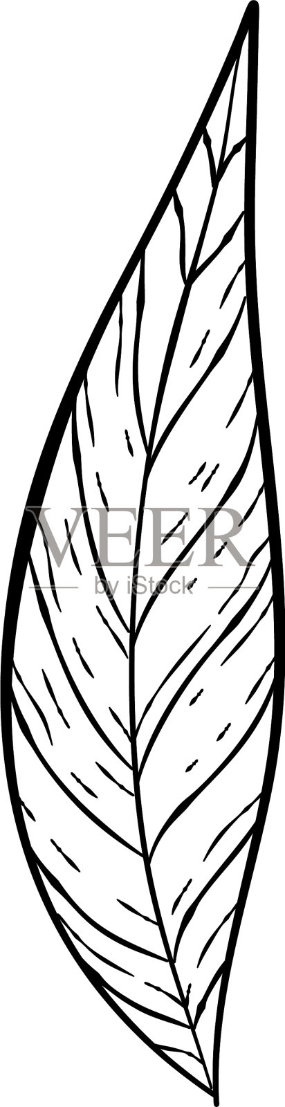 黑手画细线可爱的花涂鸦设计元素图片