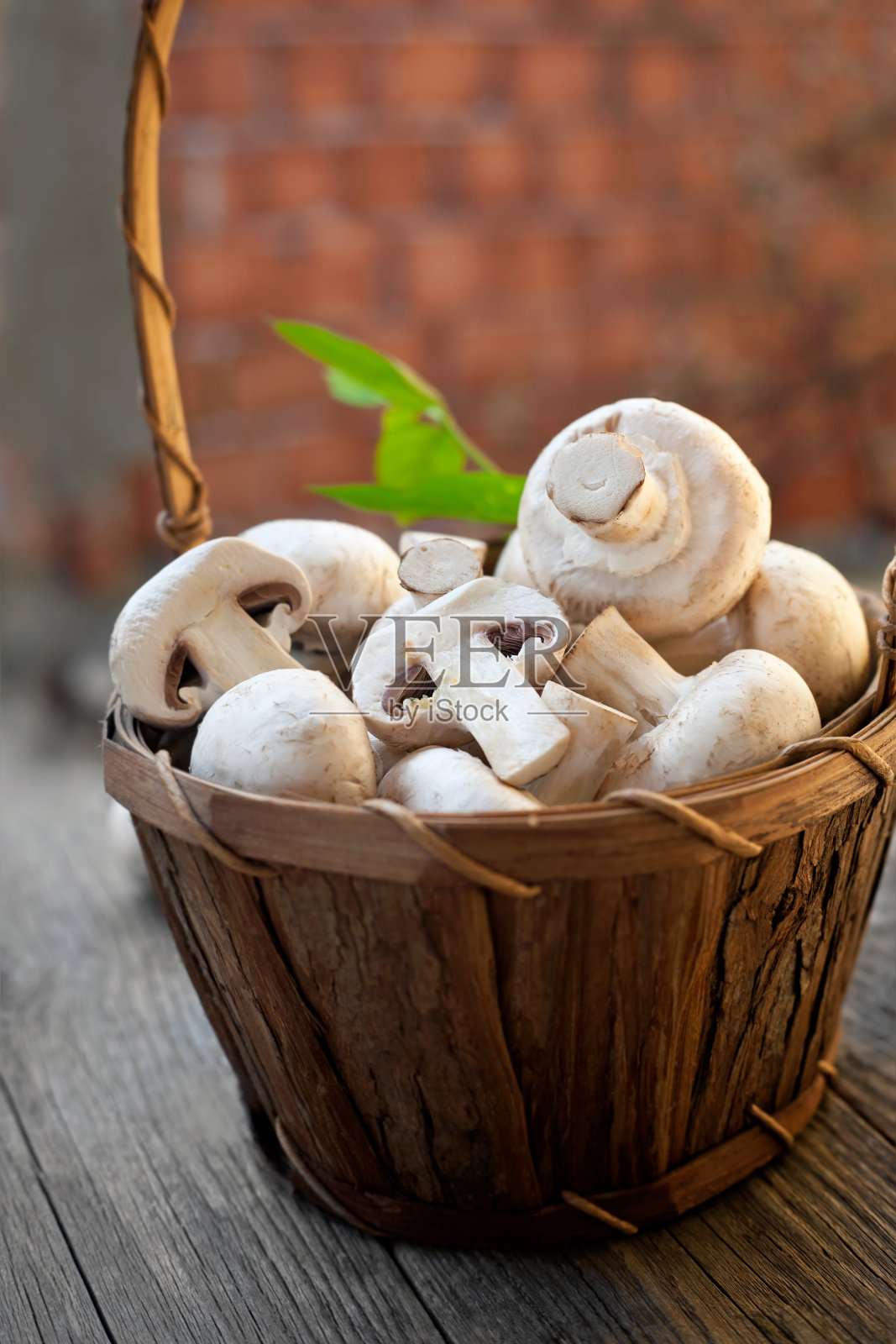 木篮子里的新鲜蘑菇照片摄影图片