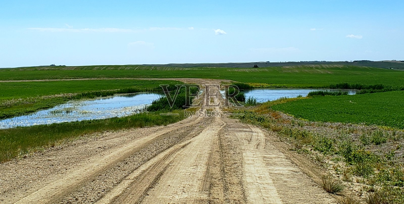 带池塘的农场小路照片摄影图片