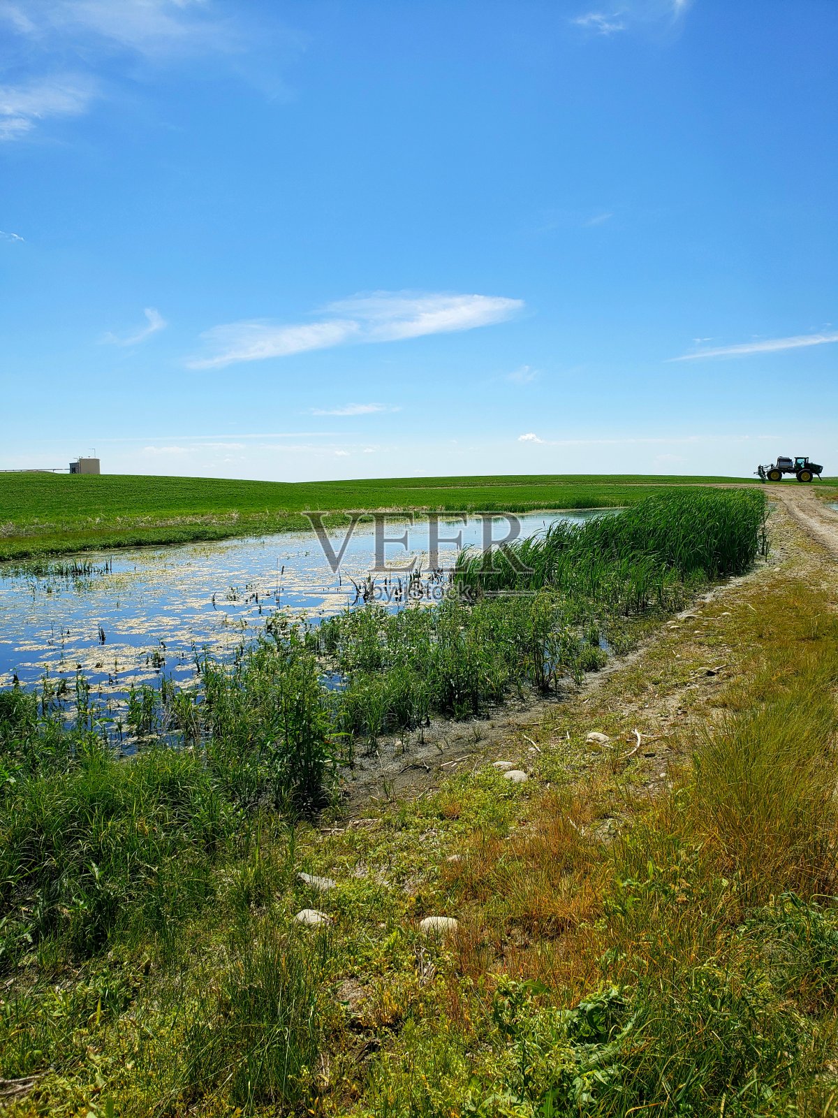 带池塘的农场小路照片摄影图片