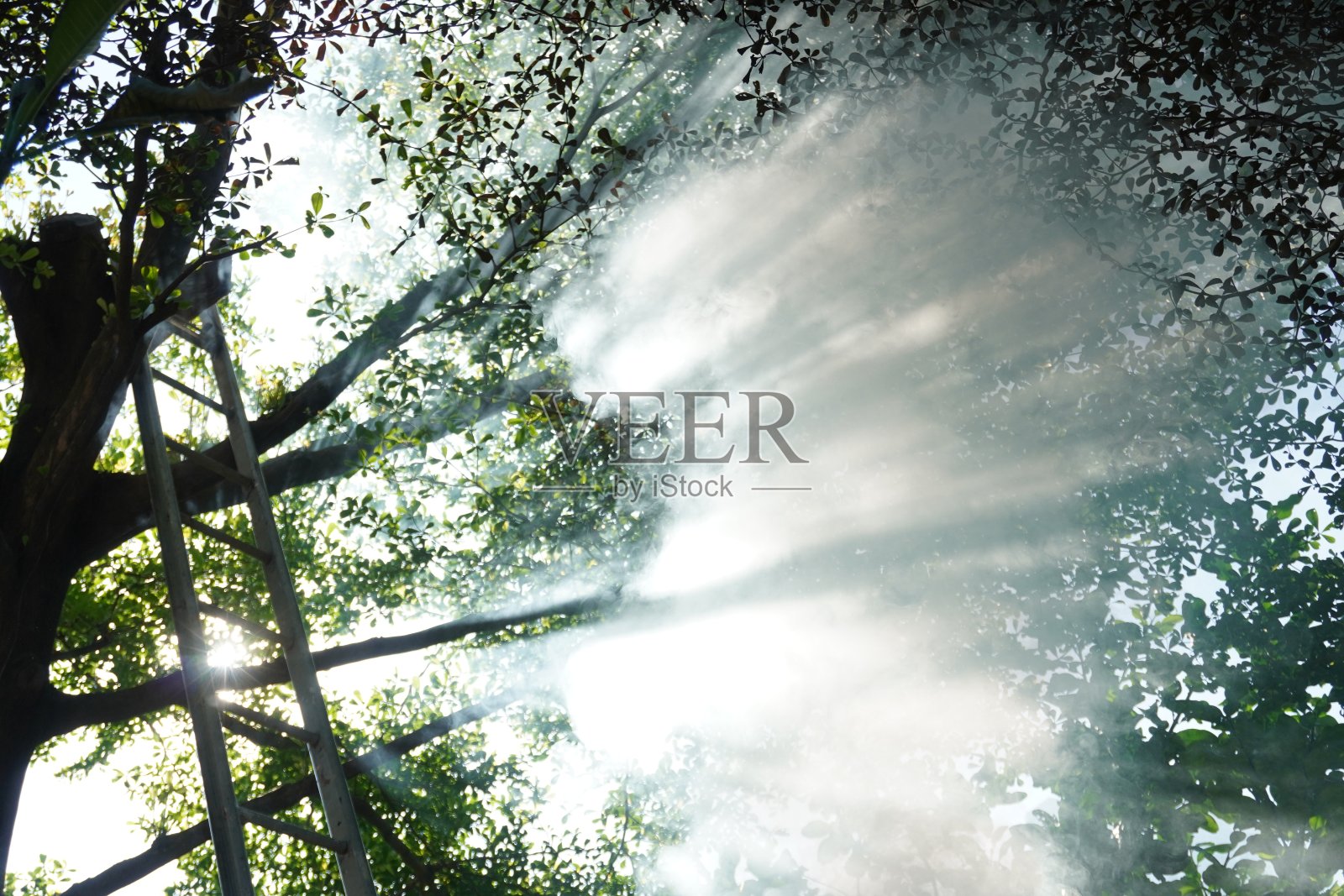 室外景象楼梯带烟。照片摄影图片