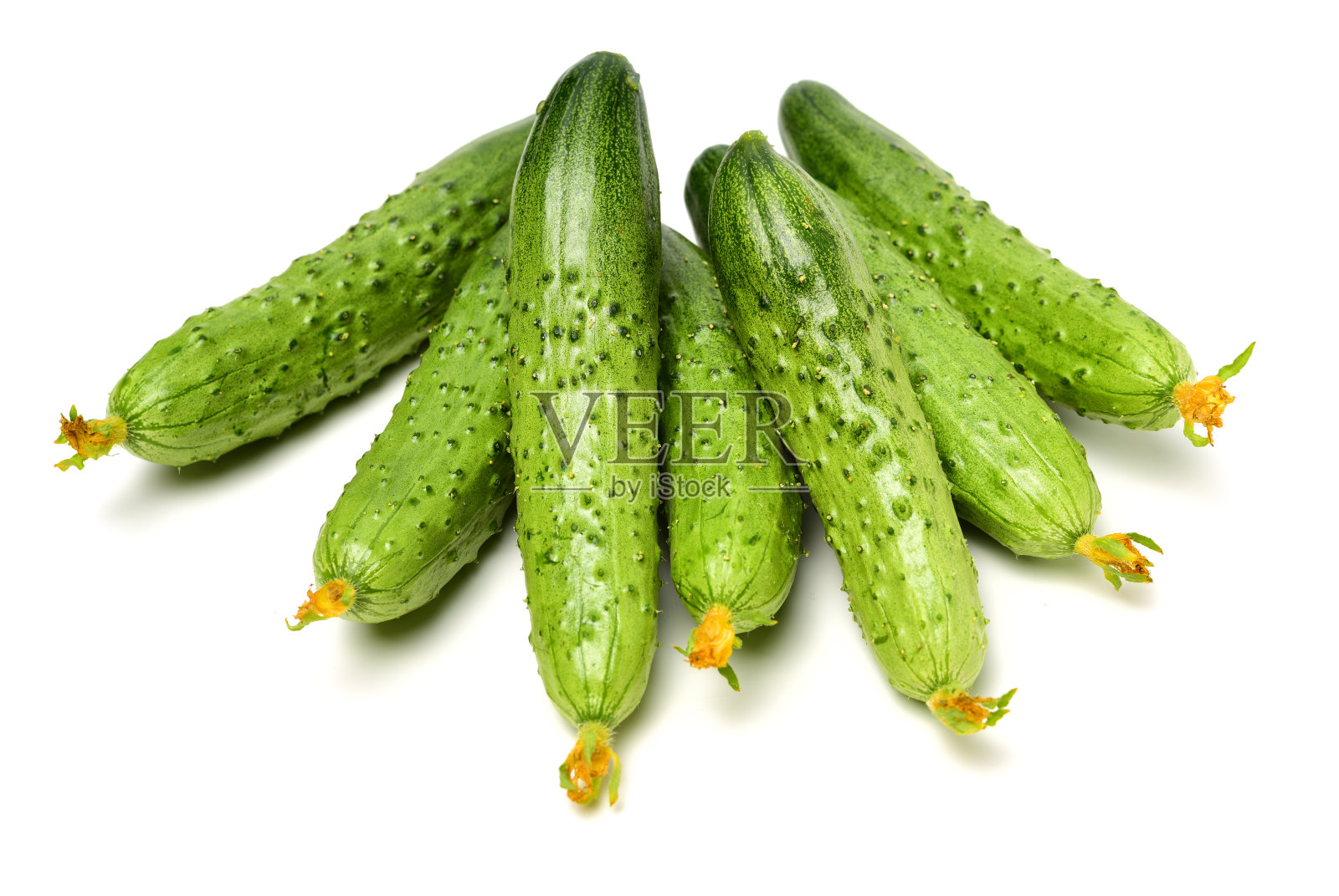 青瓜照片摄影图片