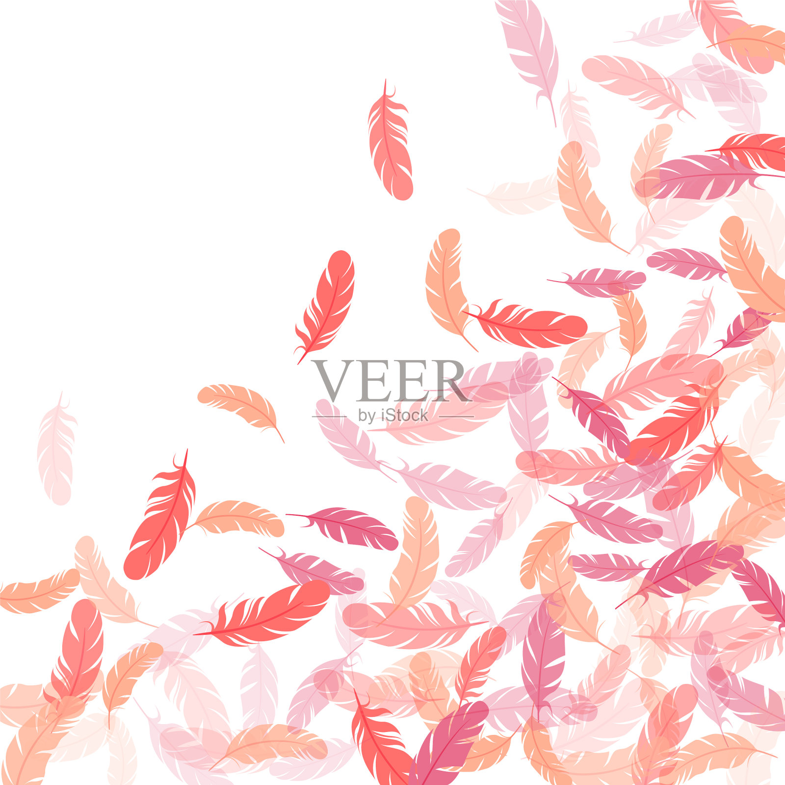 详细的宏伟羽毛上的白色设计插画图片素材