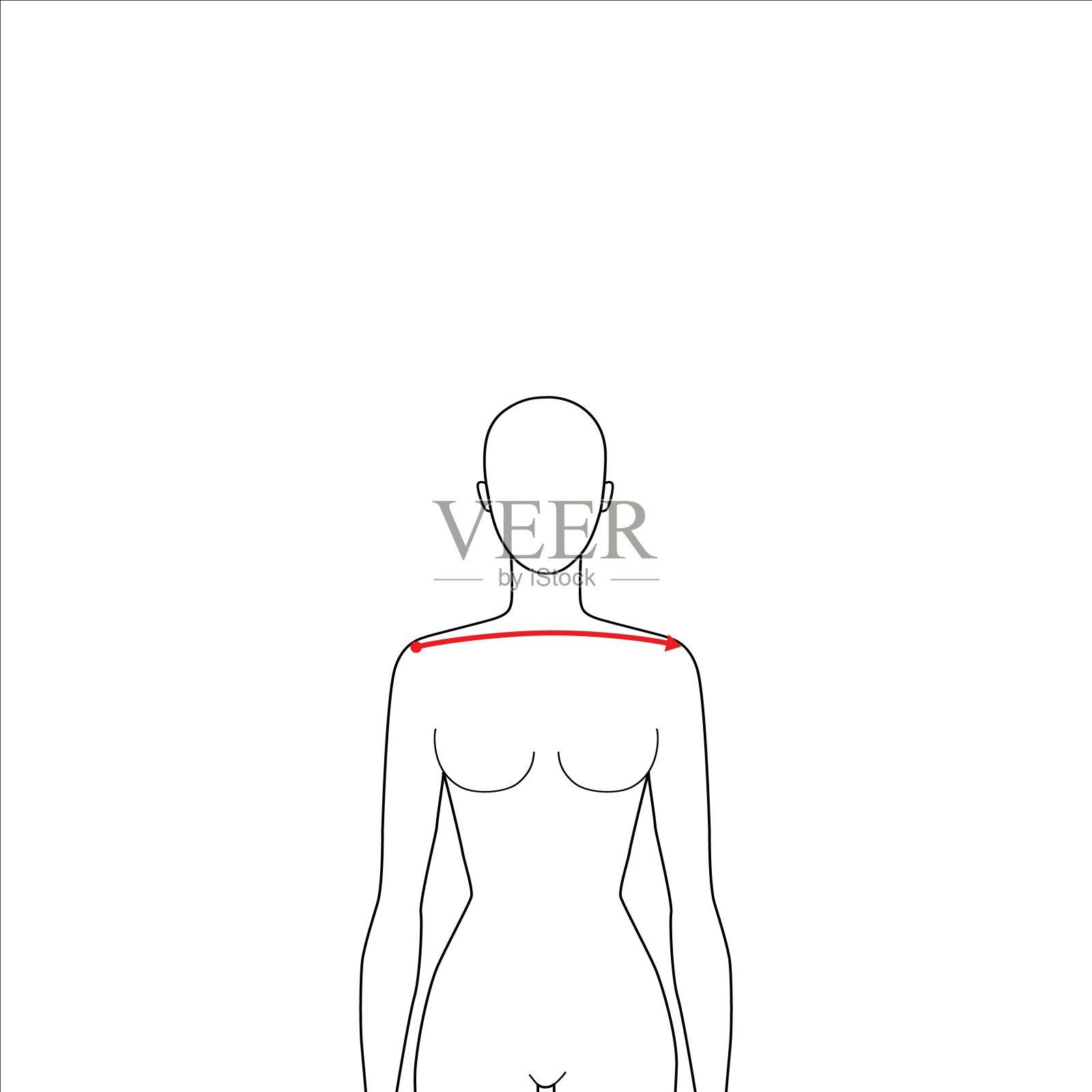 女性的测量方式插画图片素材