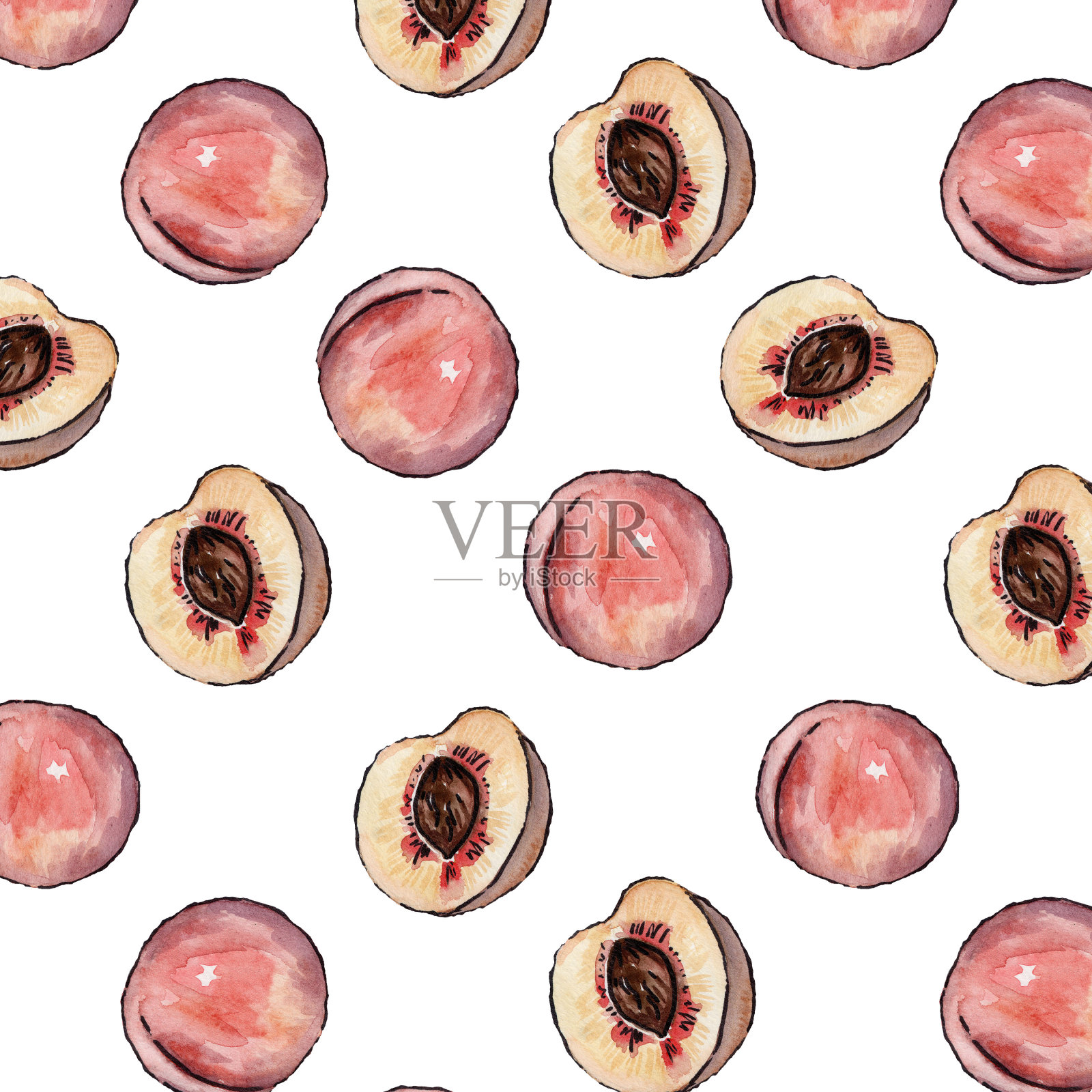 在白色背景上画桃子的水彩画。插画图片素材