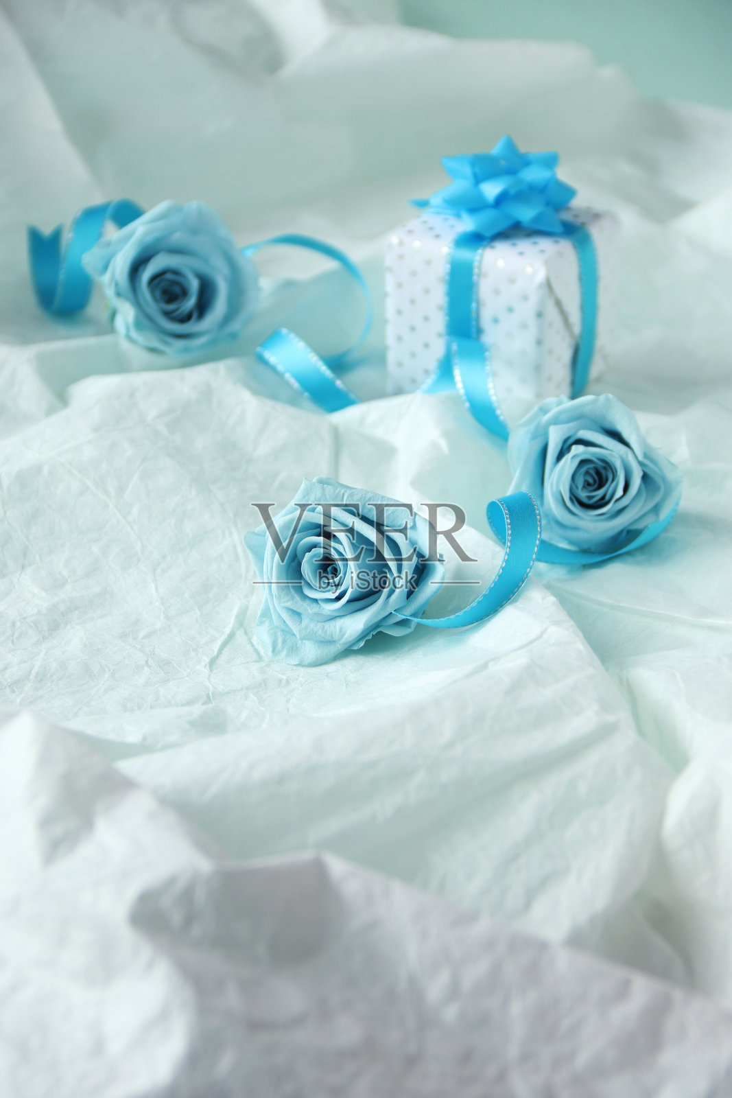 背景和蓝色玫瑰和丝带照片摄影图片