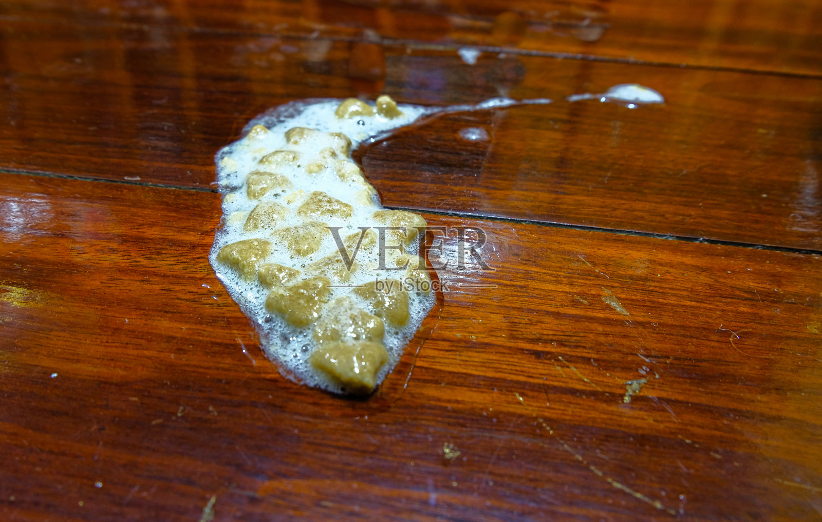 宠物呕吐在木地板上。猫的呕吐物含有很多猫食。不喜欢养宠物。照片摄影图片