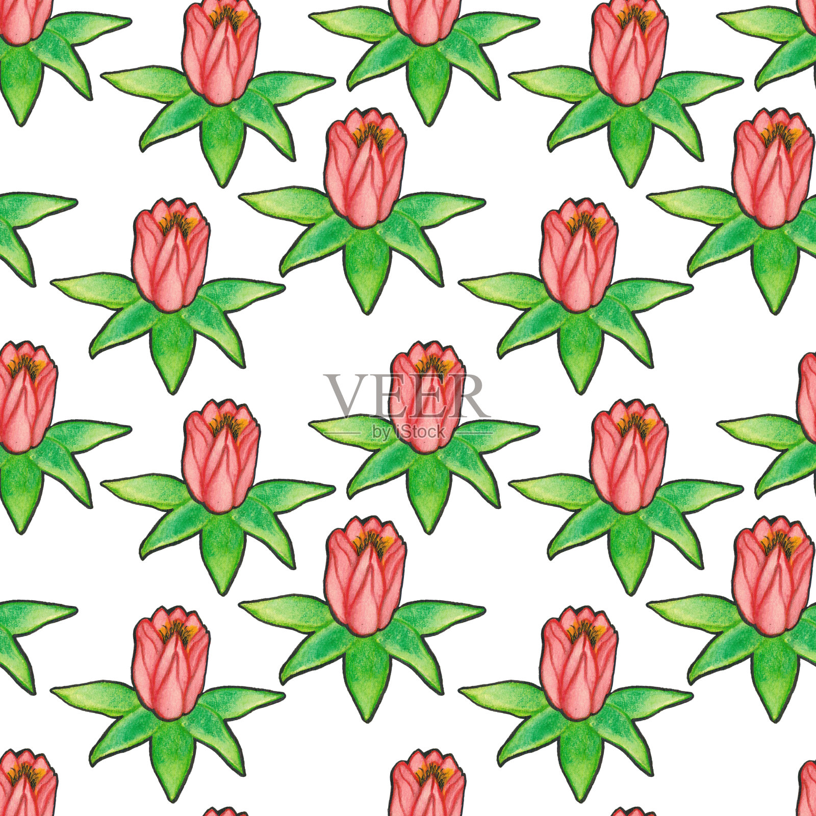 睡莲封闭图案。水彩铅笔花。水生植物重复背景。花插图与黑色描边插画图片素材