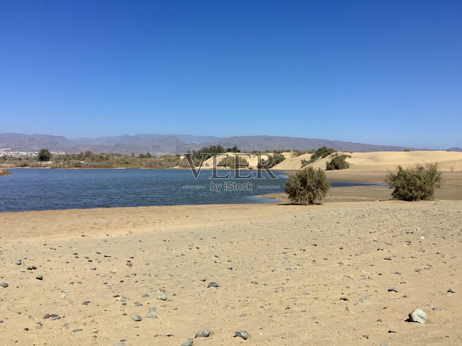 Maspalomas水坑照片摄影图片