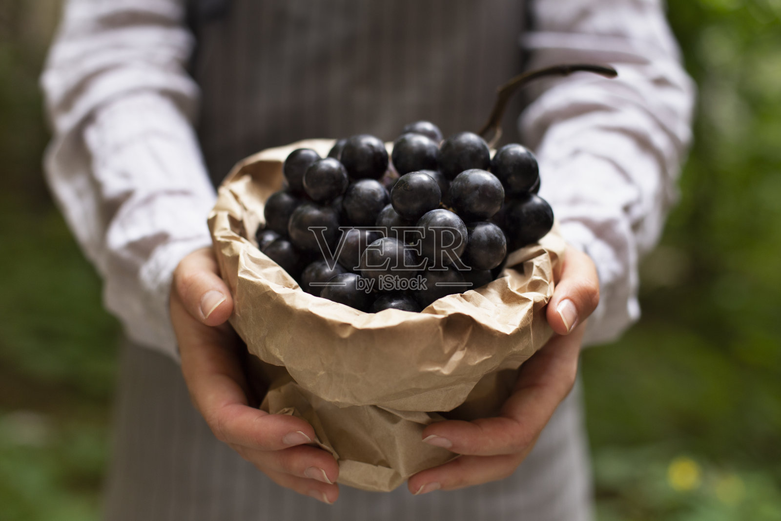 快递员带来绿色纸袋内的蓝色葡萄枝照片摄影图片