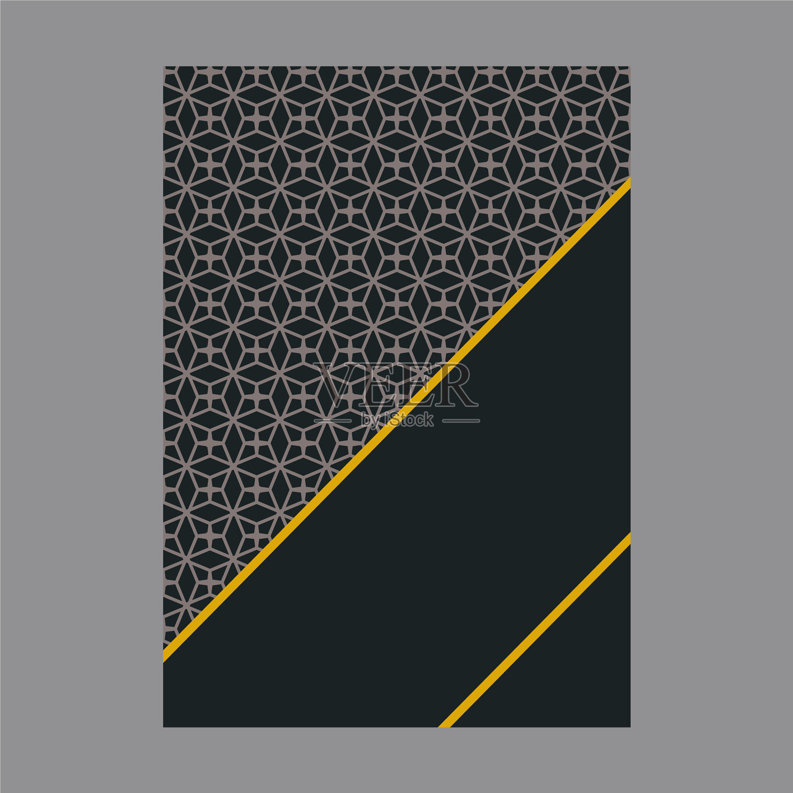 豪华高档菜单设计财务年度报告设计模板素材