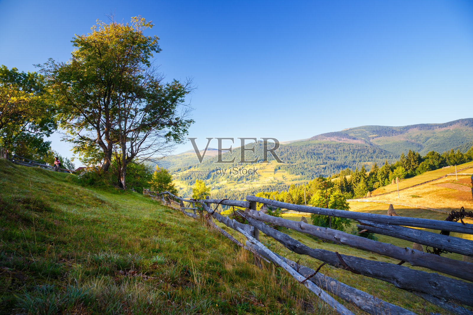 山清水秀的田园春色照片摄影图片