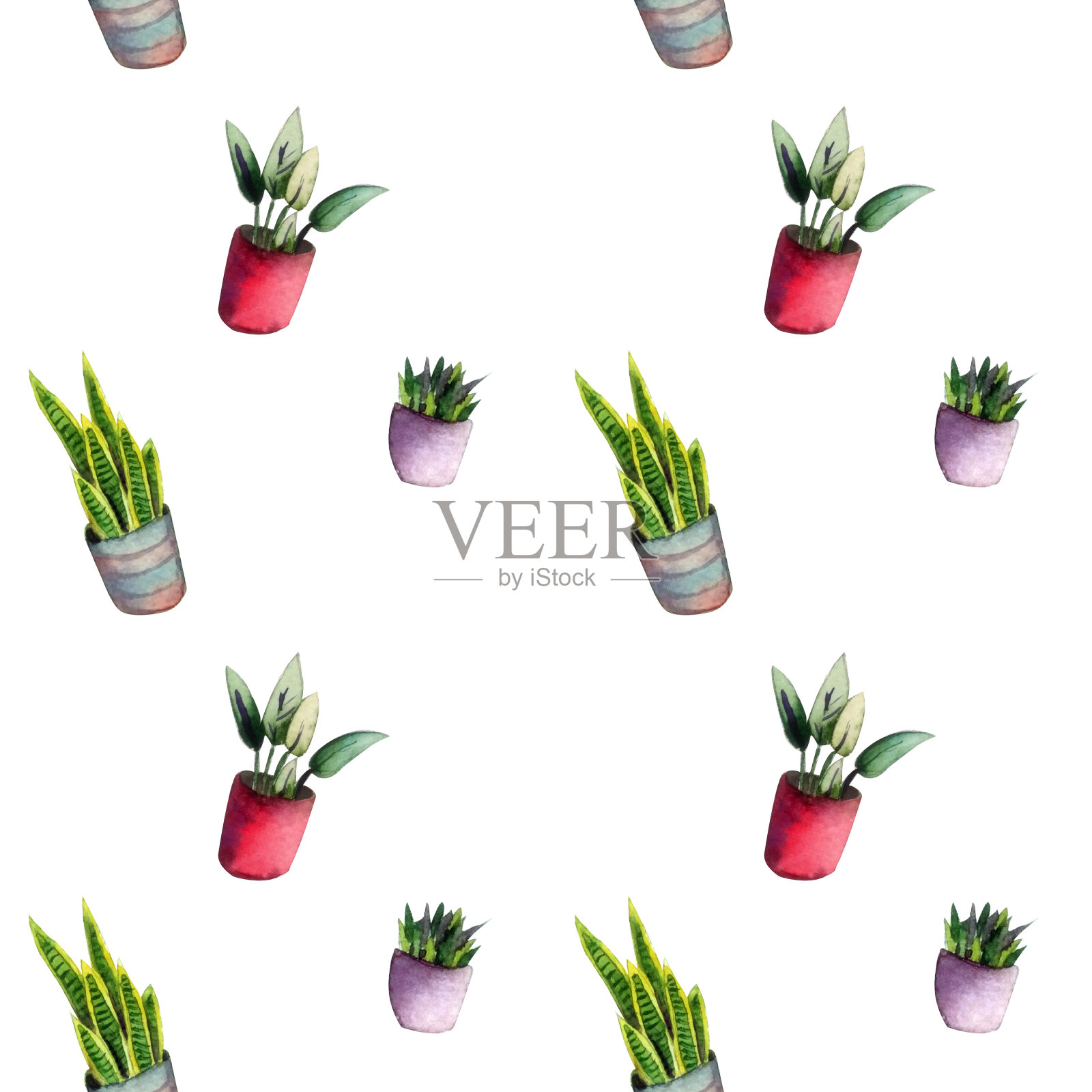 手绘水彩无缝模式与室内植物。插画图片素材