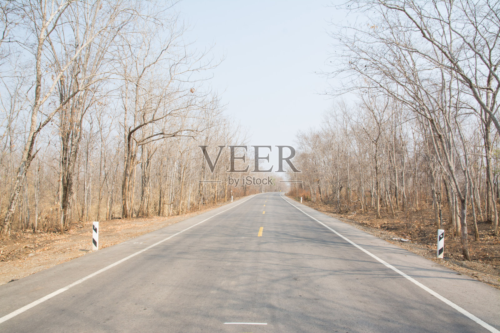 秋天森林里的柏油路照片摄影图片