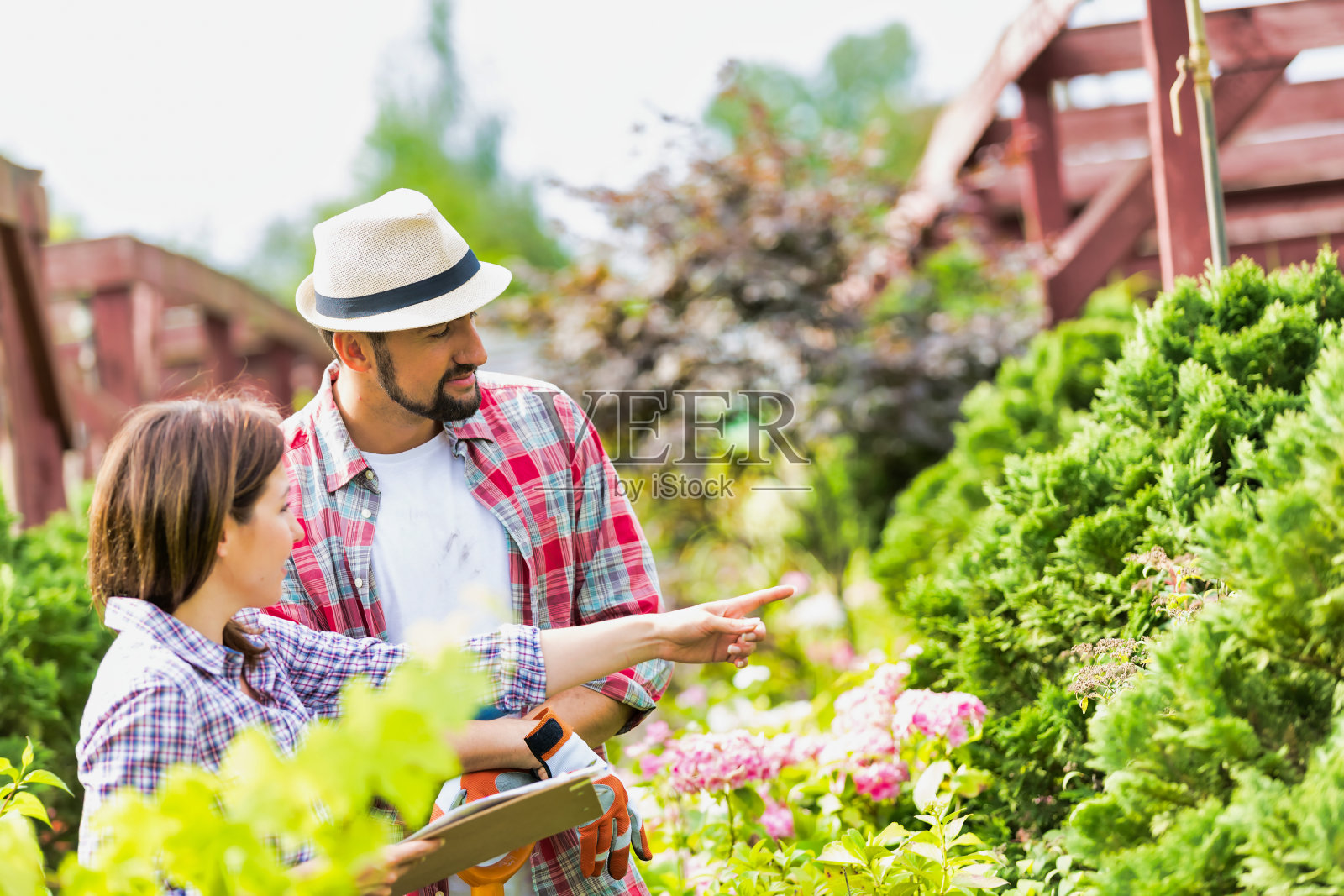 女人的肖像写报告在花园商店的植物照片摄影图片