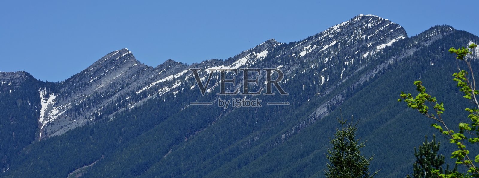 贝克-斯诺夸尔米山国家森林照片摄影图片