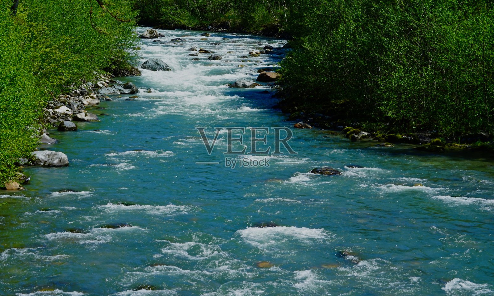 淡水贝克山森林照片摄影图片