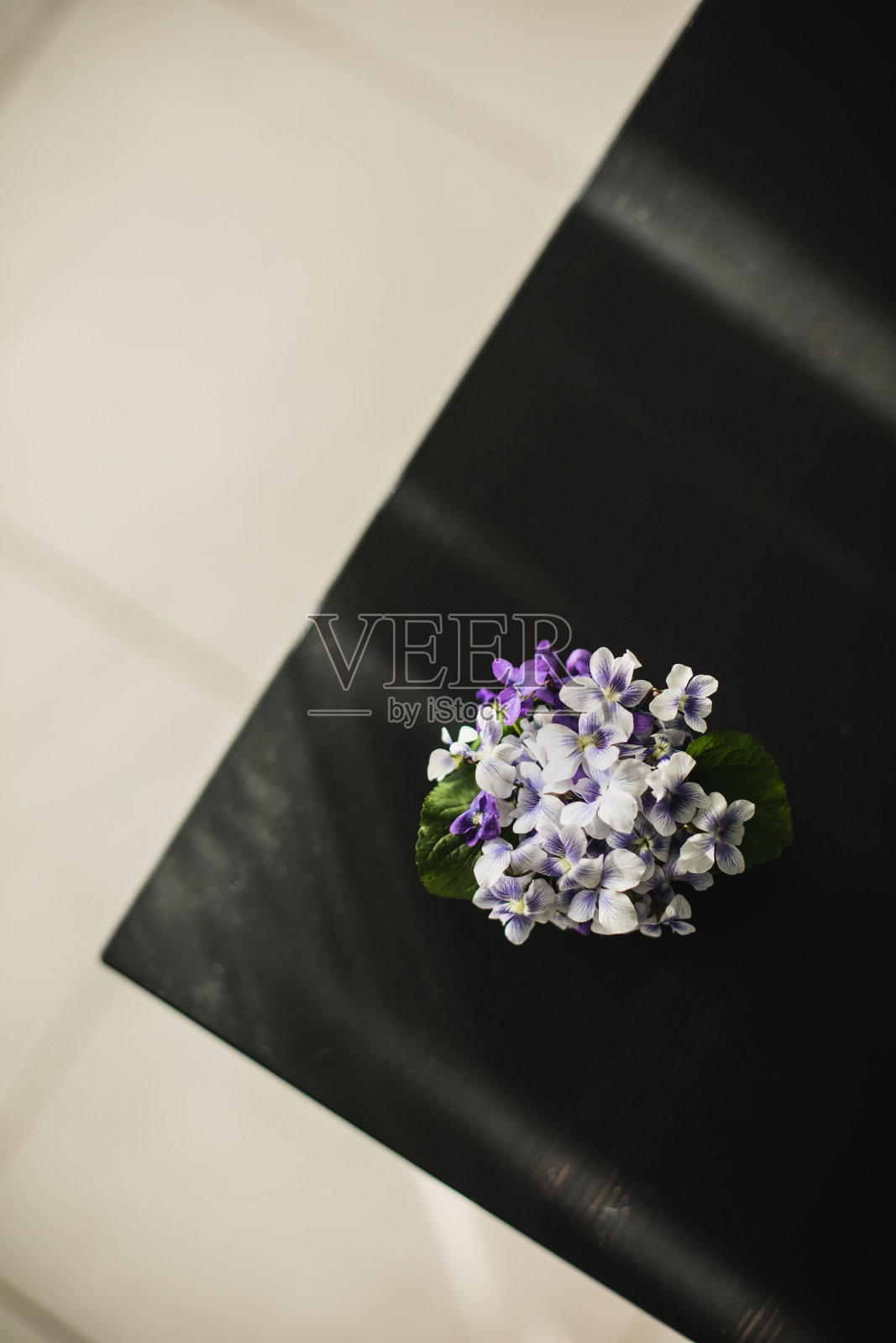 鲜花会给你的房间带来欢乐的暗示照片摄影图片