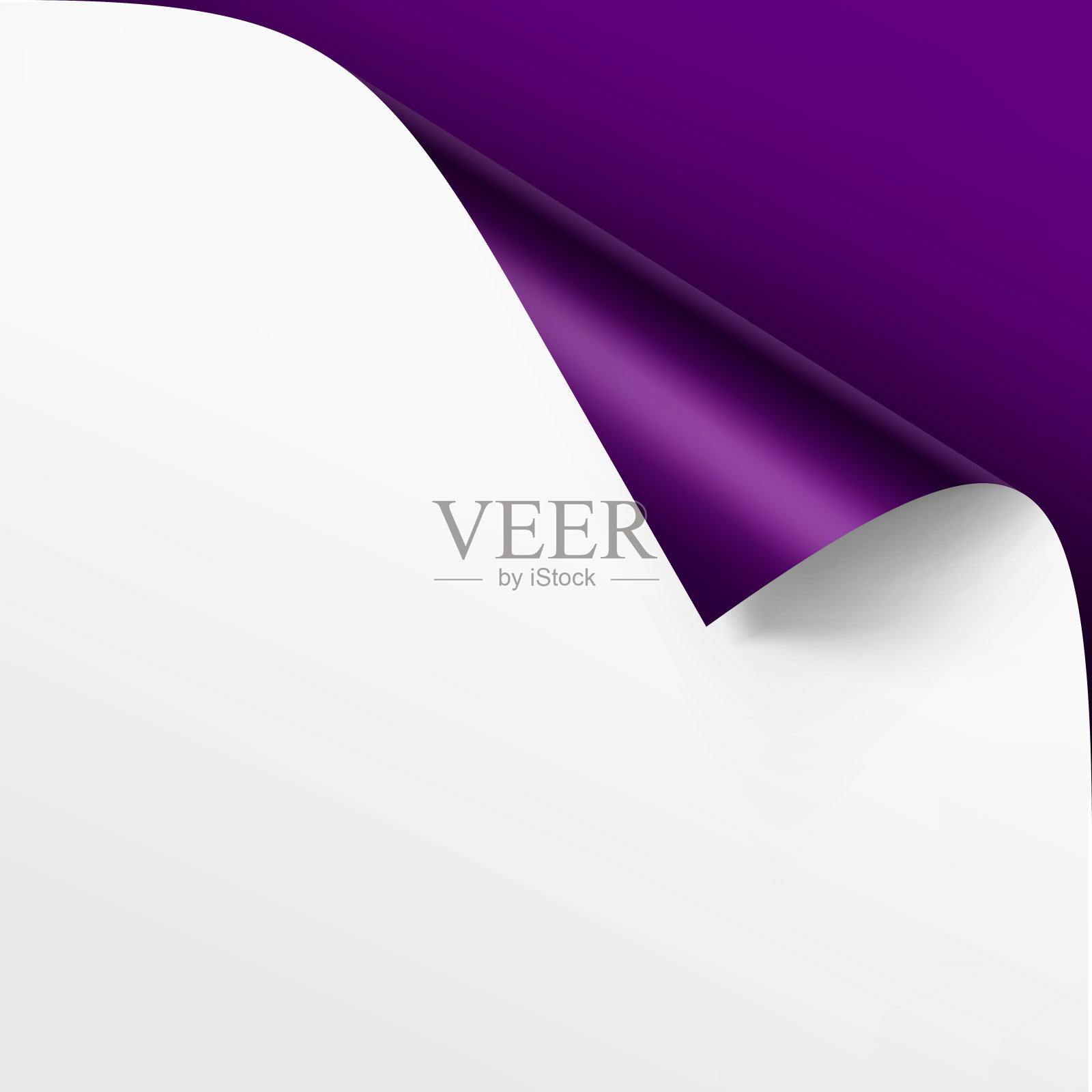 矢量卷曲角的白纸与阴影模拟近距离孤立在明亮的紫罗兰紫色背景插画图片素材