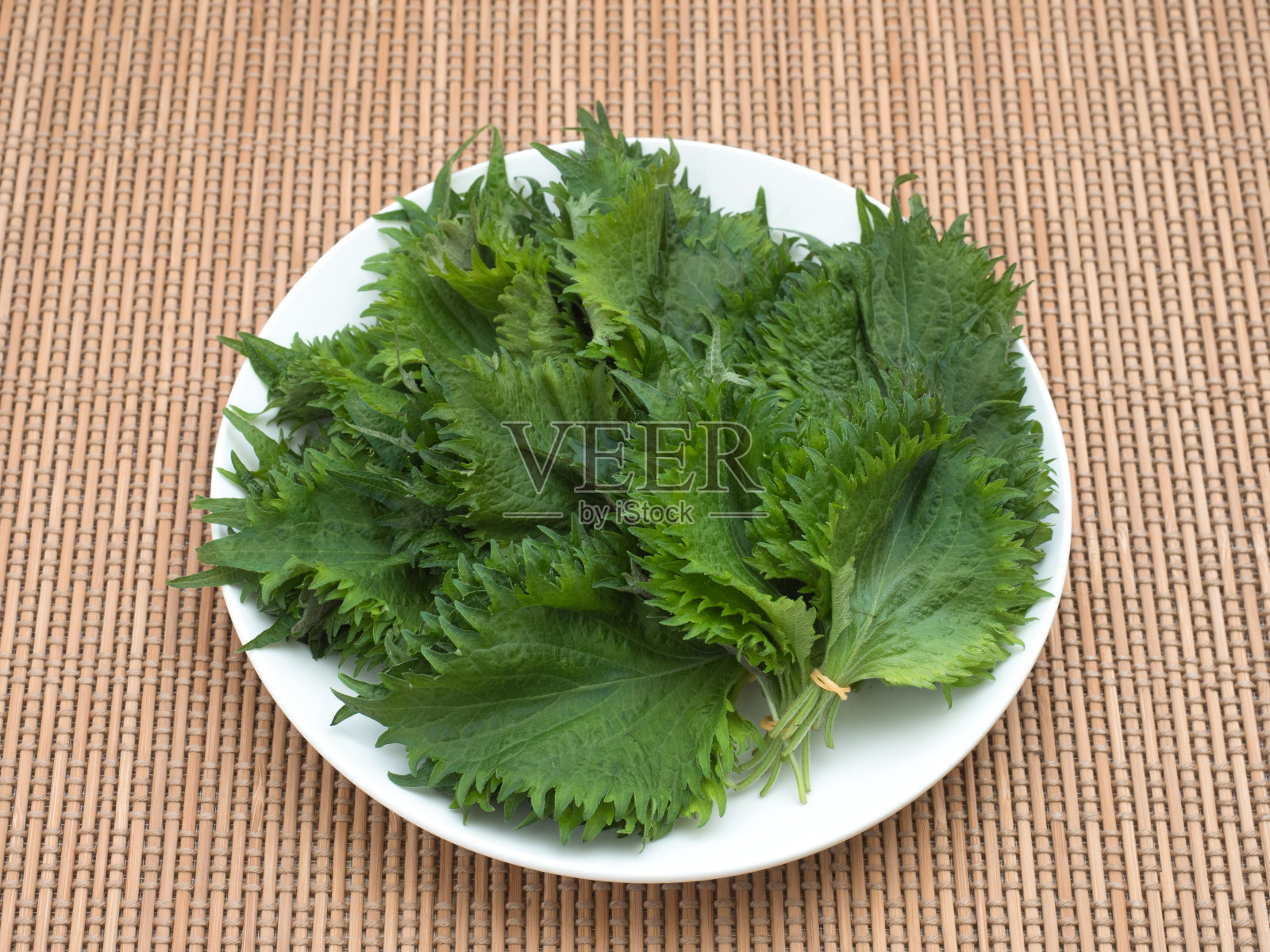 日本罗勒照片摄影图片