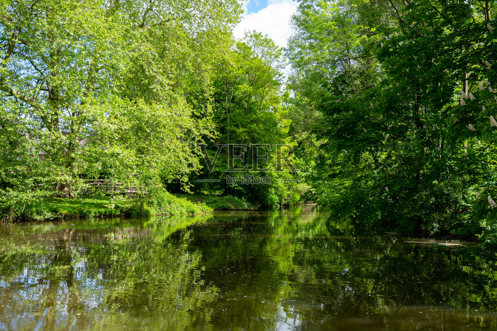春天，荷兰北部布拉班特的埃因霍温市中部，有池塘和老水厂的绿色公园。照片摄影图片