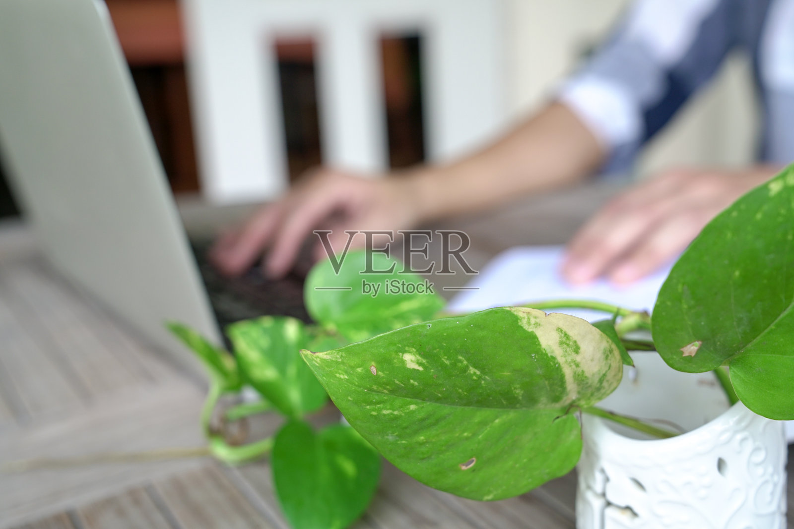 在电脑上打字的女人。家设置。照片摄影图片