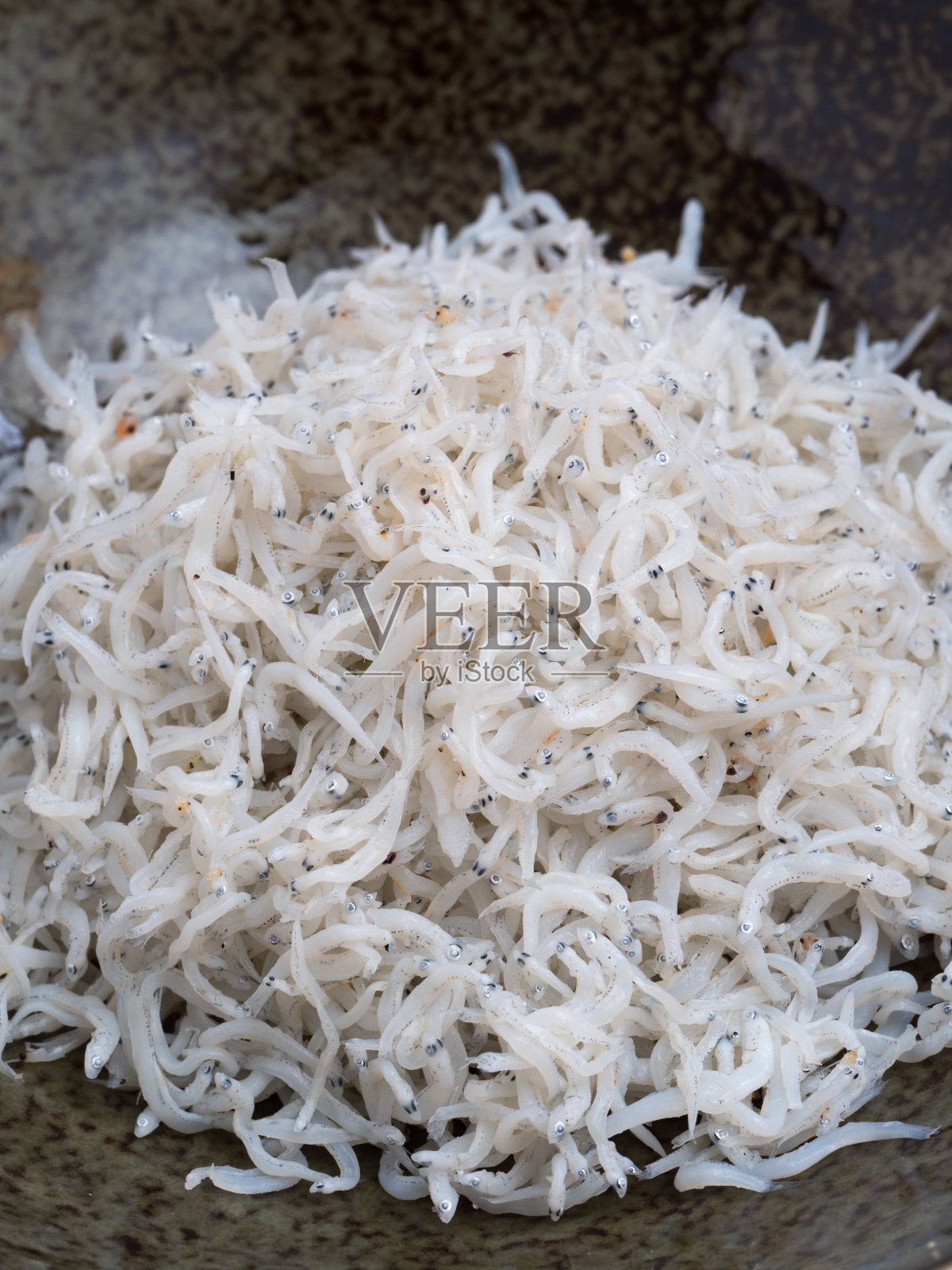 干shirasu照片摄影图片